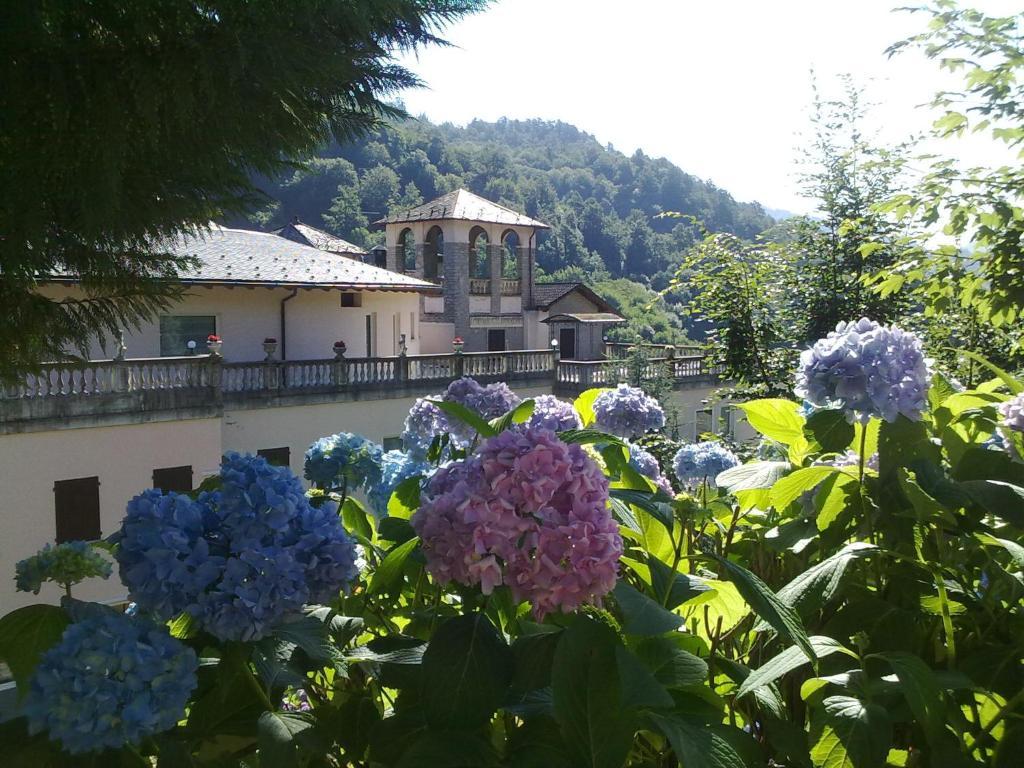 Hotel Villa Delle Ortensie Sant'Omobono Imagna Eksteriør bilde